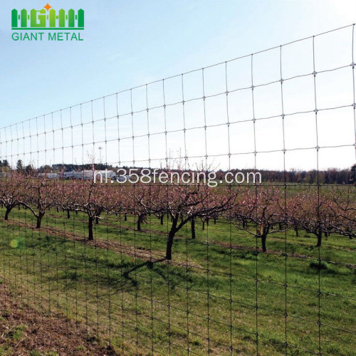 Gegalvaniseerde PVC Coated Field Fence Farm Fence